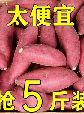 新鲜蜜薯地瓜板栗红薯沙地糖心黄心农家自种番薯香薯山芋天目山