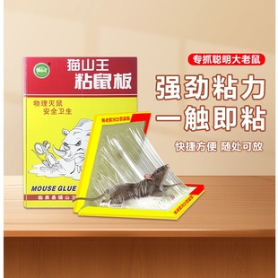 一窝端超强力粘鼠板粘大老鼠灭鼠神器捕鼠夹正品 家用抓老鼠板室内