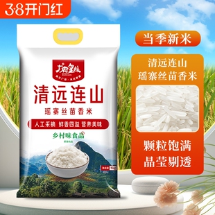 广府皇粮 清远连山瑶寨丝苗米5kg*袋 新米 新鲜现发 长粒香米10斤