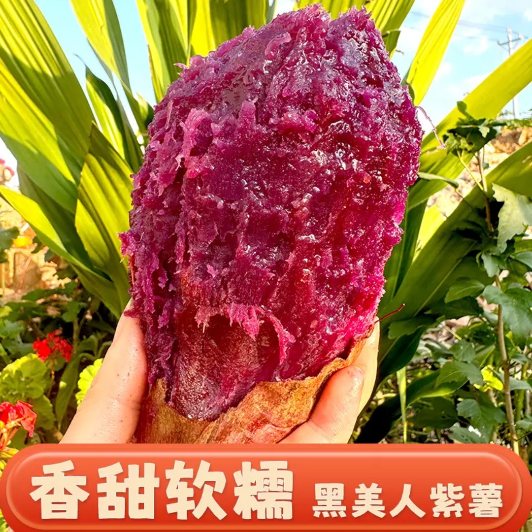 黑美人紫薯云南天然花青素甜糯