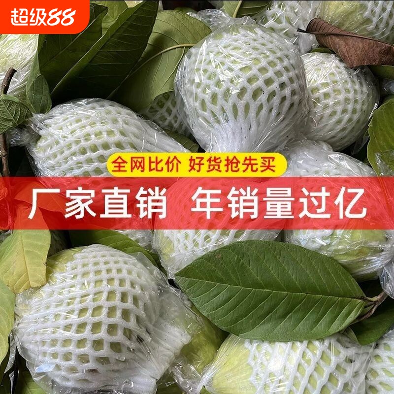 番石榴防虫袋网套加厚芭乐蕃石套榴袋防虫专用套果袋缩口一体袋图片