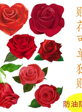 玻璃贴纸自粘房间装饰品墙贴画