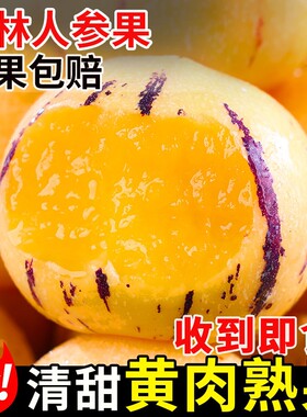 人参果云南石林树上熟新鲜水果当季整箱黄果圆果正品人生果娃娃