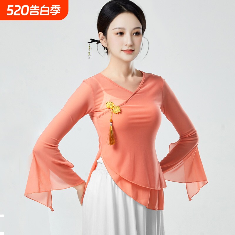古典舞舞蹈服飘逸女纱衣身韵练功服演出服艺考中国风仙女基训上衣
