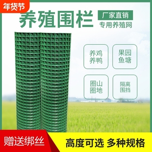 隔离铁丝网养鸡围栏网养殖网围栏护栏绿色绿网耐用铁网格网拦鸡网