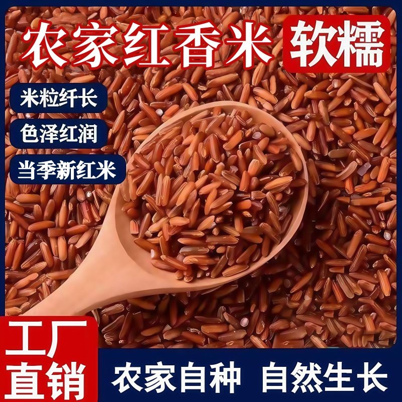 红香米产地直发低脂红米饭红大米杂粮红糙米新米粳米煮粥软糯香甜