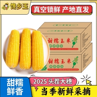 馋乡玉25年新鲜东北黄糯玉米拉丝香甜黄糯10支装 大棒代餐精选真空