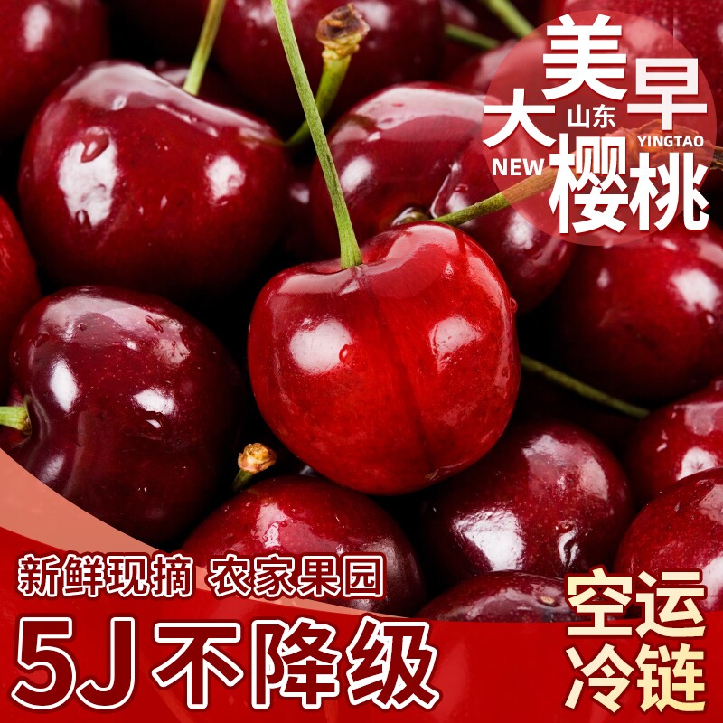 山东美早樱桃新鲜水果国产车厘子当季脆甜多汁孕妇大樱桃空运速发