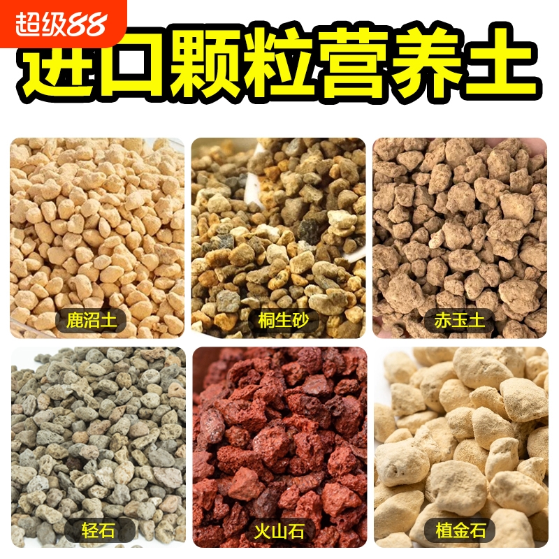 原装进口基质鹿沼土桐生砂植金石轻石火山石颗粒营养土铺面种植