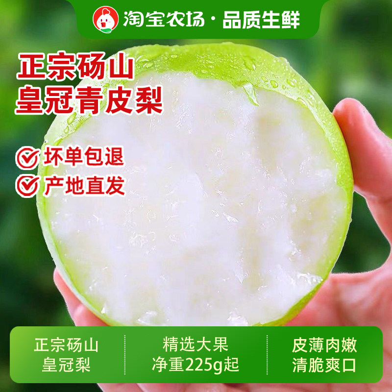 砀山皇冠梨正宗果园现摘包邮