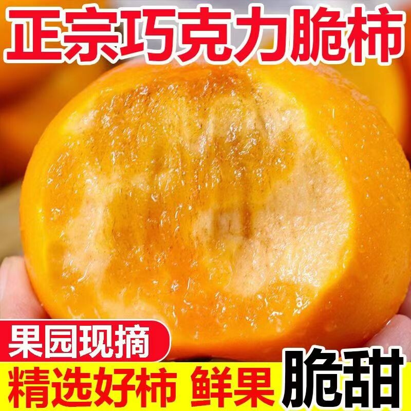 正宗阳丰脆柿巧克力应季柿子新鲜水果甜柿子整箱包邮冰糖心脆甜