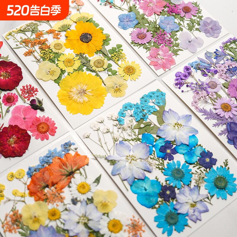 新品干花压花diy材料包写真贴脸花押花书签真花滴胶树叶植物标本