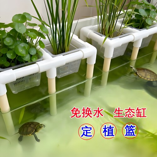 生态龟缸水培定植篮支架防越狱