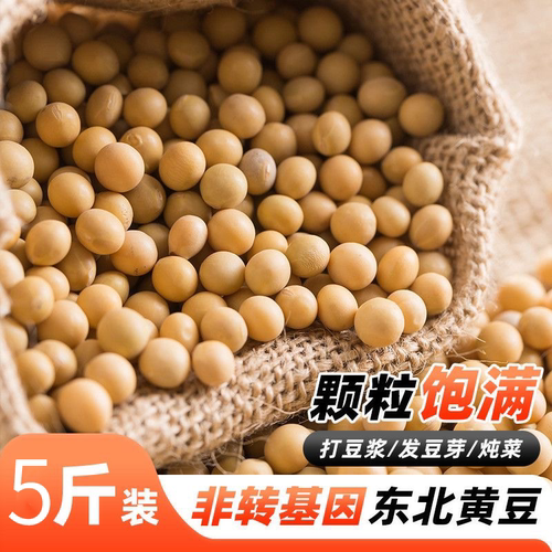 新黄豆山西正宗黄豆打豆浆专用农家自产大豆大颗粒豆杂粮可发芽