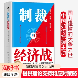 魏子龙 嵇先白 理论支撑应对策略经济武器化跨学科方法失衡与重塑中国经济2025百年变局下中国与世界经济书籍 翟东升 制裁与经济战