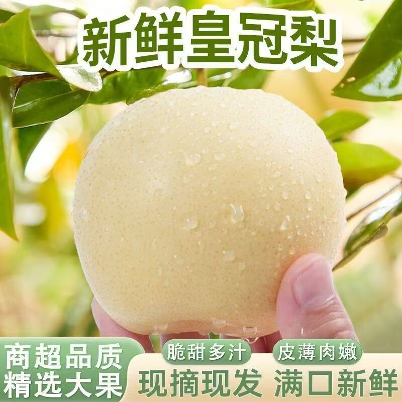 白皇冠梨梨子新鲜10斤水果一级果脆甜现摘冰糖梨薄皮水果顺丰整箱