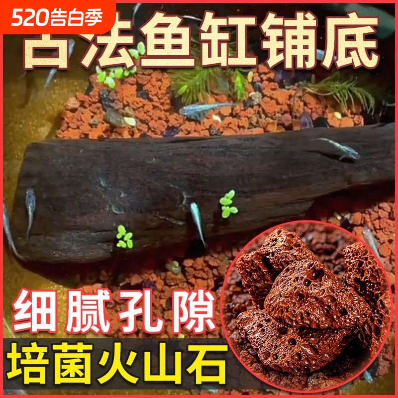 火山石颗粒火山岩原石兰花颗粒乌龟专用优质造景铺面净化水质垫底