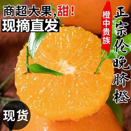 秭归伦晚脐橙纯甜爆汁当季现摘包邮湖北新鲜水果榨汁整箱手剥橙子