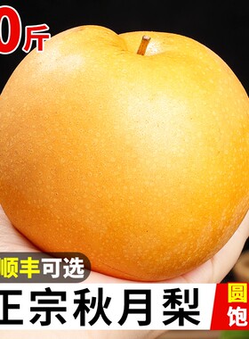 秋月梨新鲜水果5斤脆甜多汁当季