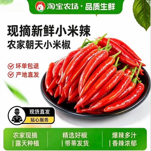 正宗新鲜小米椒小米辣朝天椒蔬菜泡椒特辣炒菜料辣椒酱现摘鲜辣