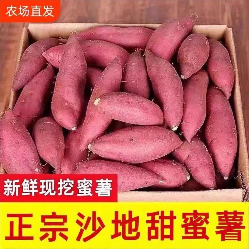 超甜沙地蜜薯新鲜红薯黄心板栗红心地瓜软糯香甜流油当季现挖农家