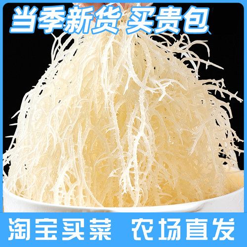 海产品海带龙须菜海石花菜干货新鲜长寿菜凉拌专用菜鹿角菜美味