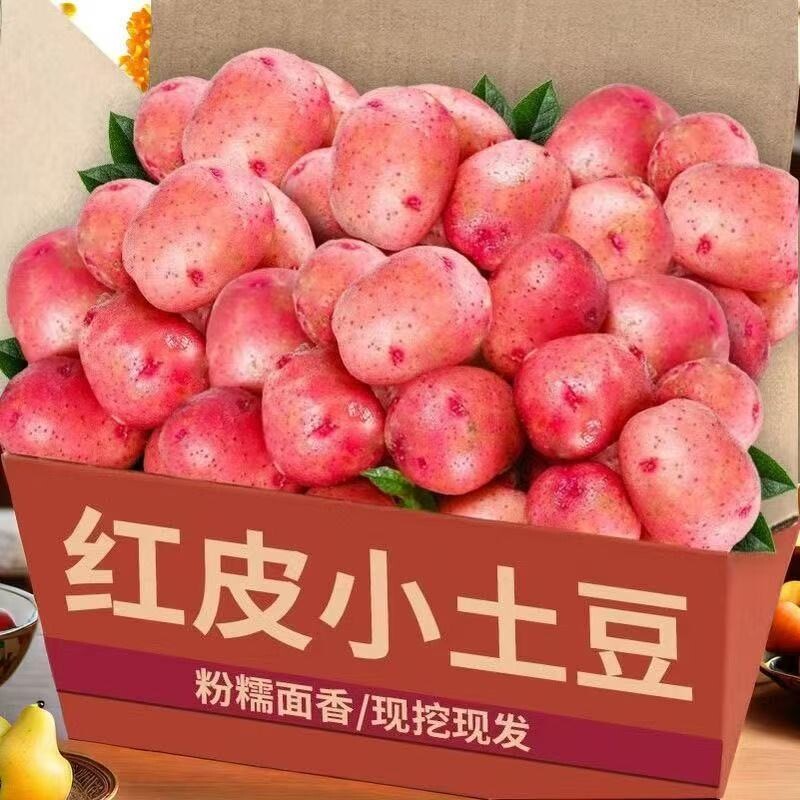红皮黄心小土豆新鲜洋芋马铃薯现挖精品新鲜蔬菜批发5斤包邮9斤装