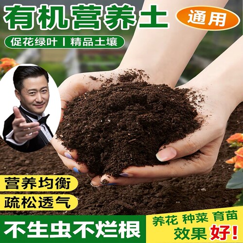 茉莉花专用土营养土盆栽土