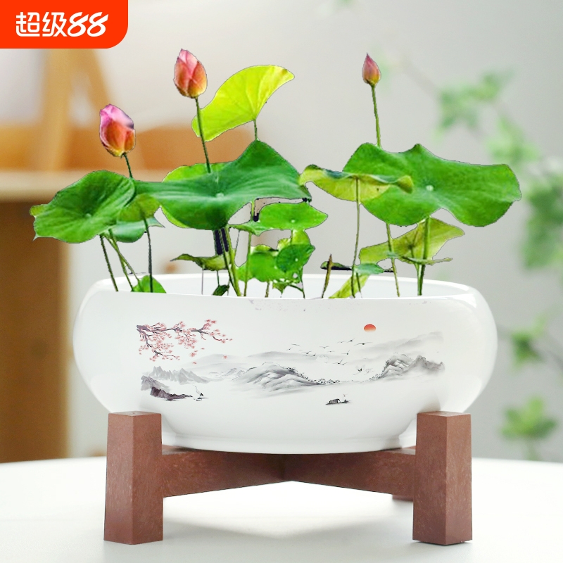 水仙花盆陶瓷铜钱草水培睡莲一叶莲碗莲金钱草水养专用盆无孔莲花