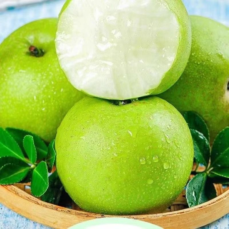 青皮翠玉梨子砀山梨新鲜水果苹果梨