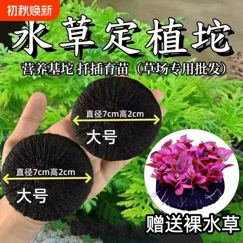 DIY水草定植泥坨水草泥坨营养