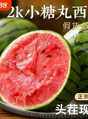 现摘2k西瓜新鲜网红小糖丸西瓜麒麟西瓜特小凤冰淇淋脆甜整箱包邮