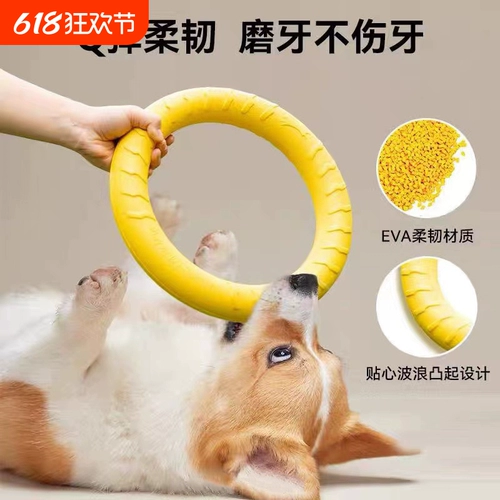 Игрушка, кольцо, фрисби, издает звуки, избавление от скуки, домашний питомец