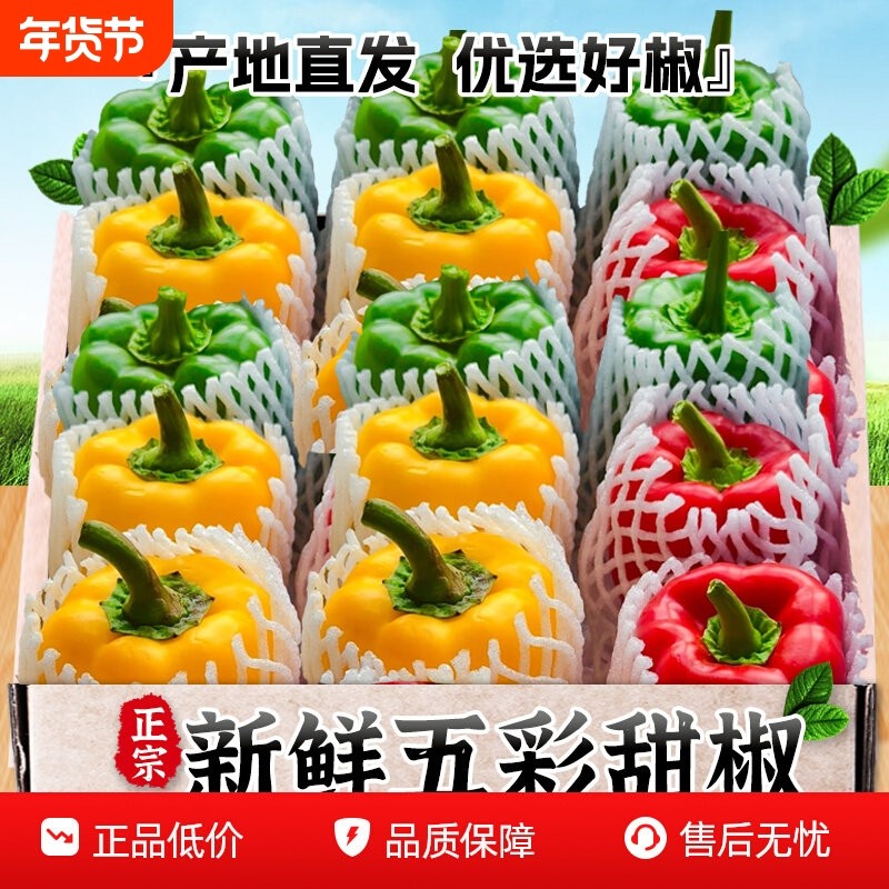 山东寿光新鲜水果彩椒五彩甜椒生吃七彩红黄辣椒圆椒青椒现摘,水产肉类/新鲜蔬果/熟食,辣椒,淘宝优惠券,粉丝福利购,淘宝优惠卷