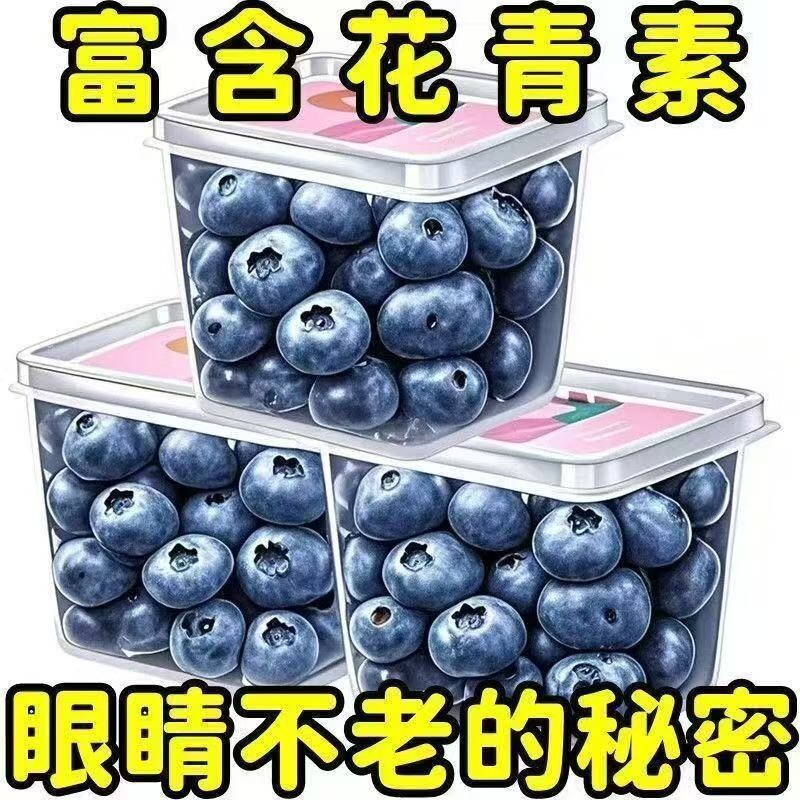 护眼明目】蓝莓干蓝莓果大兴安岭特产大颗粒孕妇儿童零食果干蜜饯