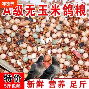 鸽粮50斤优质高粱玉米粒清除鸽子包邮营养饲料小麦无玉米幼鸽粮食