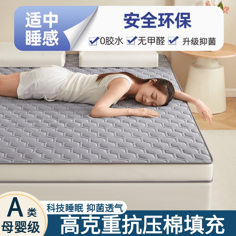 四季款床垫家用软垫褥铺地图片