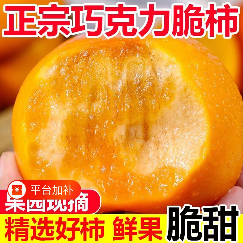 【无核脆柿】新鲜水果柿子时令脆甜柿子孕妇甜柿子无核一整箱包邮