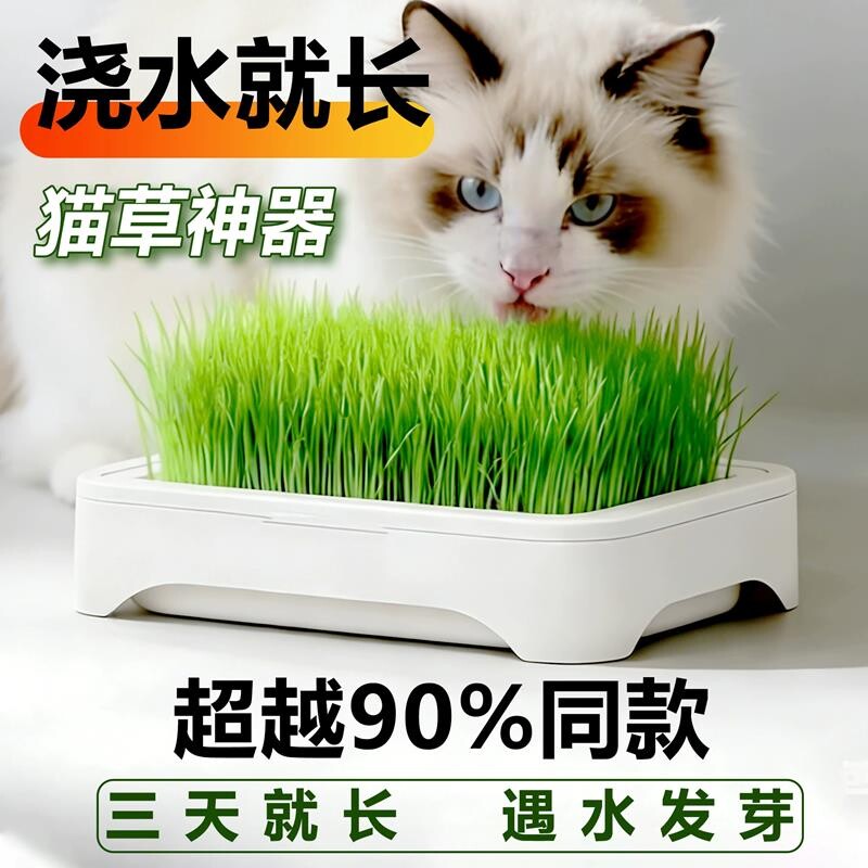 猫草新款网红猫草水培盒套装猫零食天然去毛球化毛猫草盆水培盆