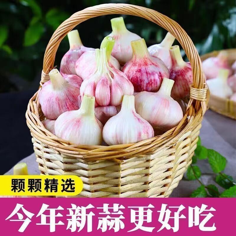 云南紫皮大蒜3斤装中大果