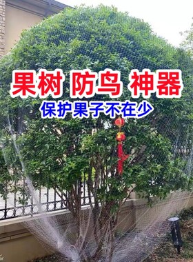 防鸟网嘉宝果树防鸟罩网罩樱桃葡萄果园专用网神器纱网尼龙防护网