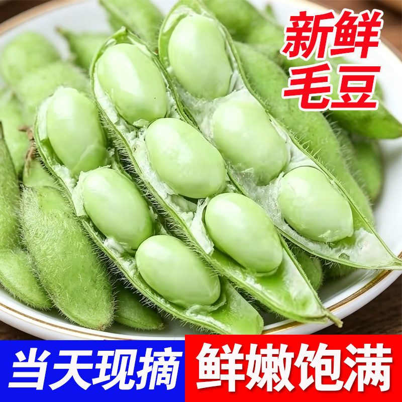 广西桂林毛豆新鲜现摘带壳青嫩豆荚黄豆批发本地农家自种时令蔬菜
