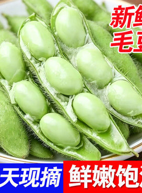 广西桂林毛豆新鲜现摘带壳青嫩豆荚黄豆批发本地农家自种时令蔬菜
