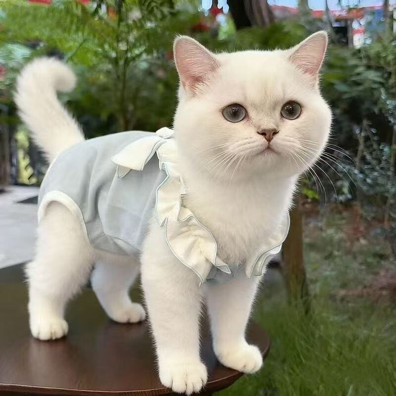 宠物秋季猫咪护肚衣小型犬幼犬睡衣泰迪四脚衣服绝育服薄款粉色