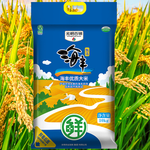 25年新米光明谷锦甄选海丰优质大米10kg现碾现磨粳米江苏盐城
