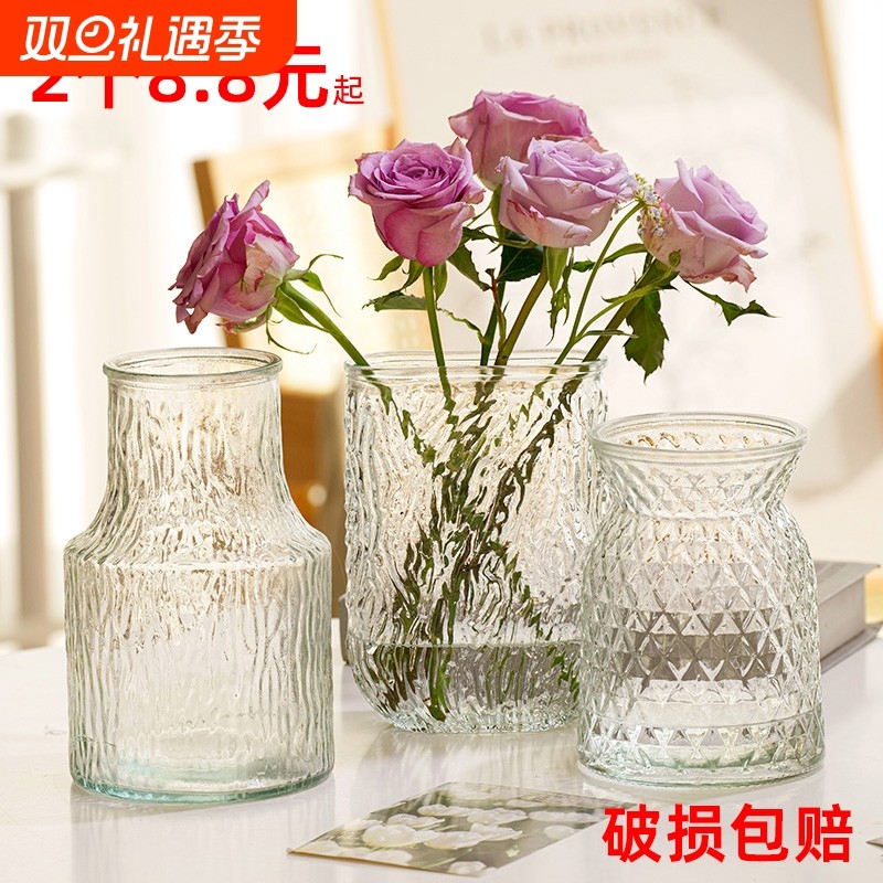创意玻璃花瓶水培鲜花植物富贵竹插花瓶装饰摆件家居桌面大肚大气