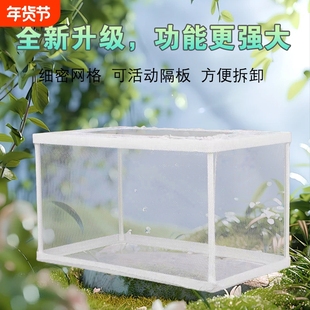 鱼缸内隔离网水族箱隔离器隔离盒网鱼缸孵化器繁殖箱孵鱼槽孵化鱼