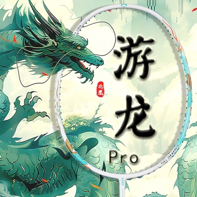 北凰超轻全碳素5U新手学生羽拍