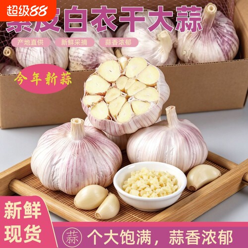 2026年山东农家干大蒜5斤大蒜头新鲜大蒜紫白皮种子新干蒜蔬菜