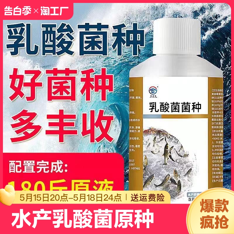 乳酸菌原种虾蟹塘鱼塘调水肠道白便弧菌水产养殖Em菌种芽孢杆菌种